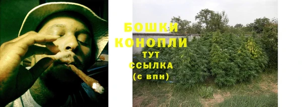 трава Армянск