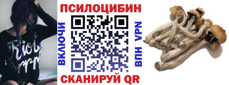 omg зеркало  Рославль  Галлюциногенные грибы MAGIC MUSHROOMS 